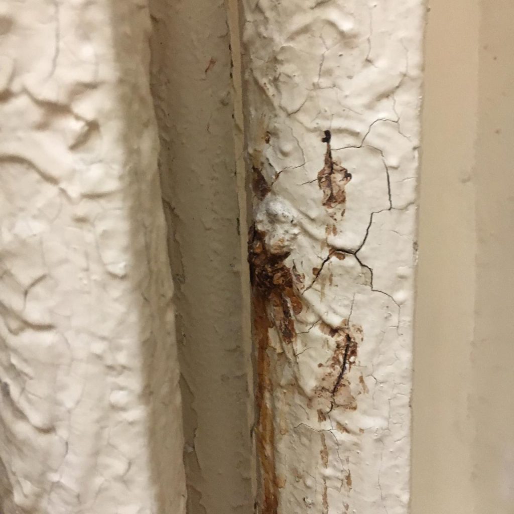 1a7c0a9c ecad 43ab ae10 6e2b6df3dd69